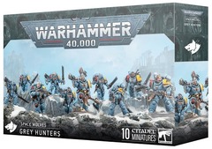 Space Wolves - Grey Hunters